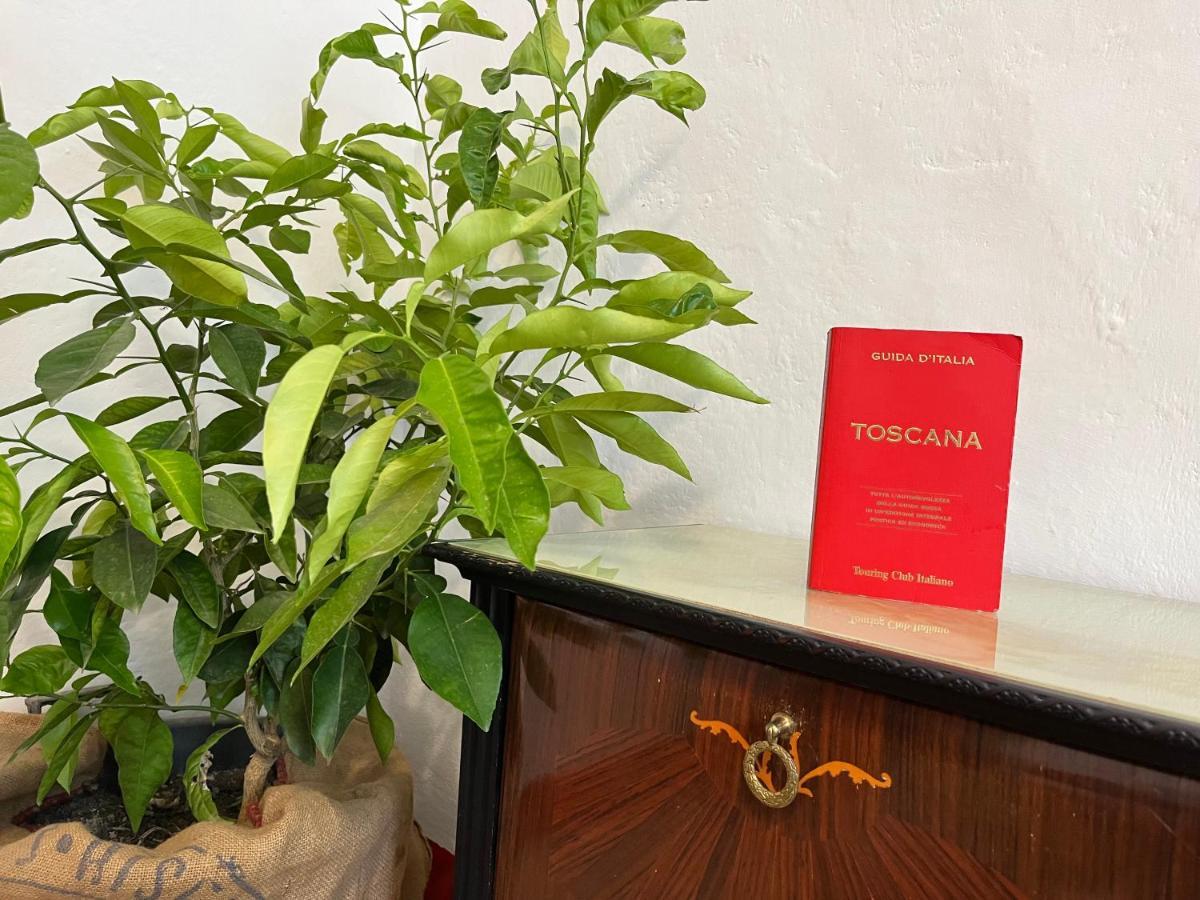 蒙泰卡蒂尼瓦尔迪切奇纳Casina Orione公寓 外观 照片